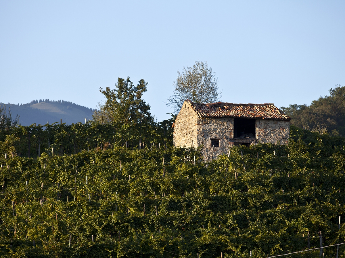 Prosecco Superiore Valdobbiadene Prosecco Superiore Valdobbiadene