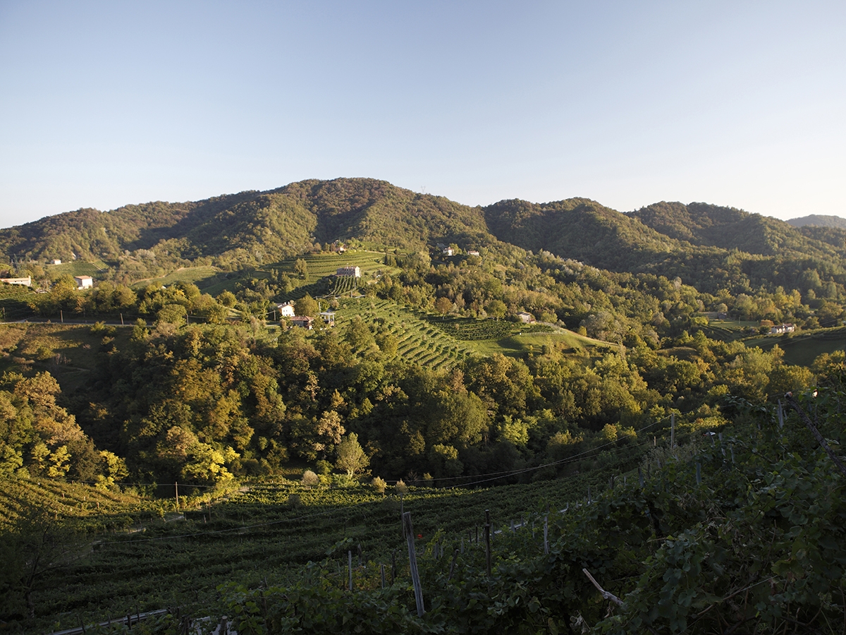Prosecco Superiore Valdobbiadene Prosecco Superiore Valdobbiadene